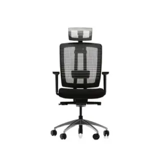 ASSIST ДЛЯ РУКОВОДИТЕЛЯ