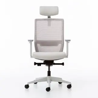 BOLD ДЛЯ РУКОВОДИТЕЛЯ