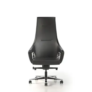 MAGNATE ДЛЯ РУКОВОДИТЕЛЯ