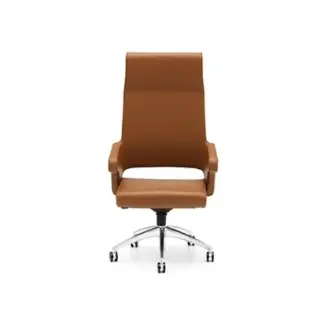 CAPO ДЛЯ РУКОВОДИТЕЛЯ